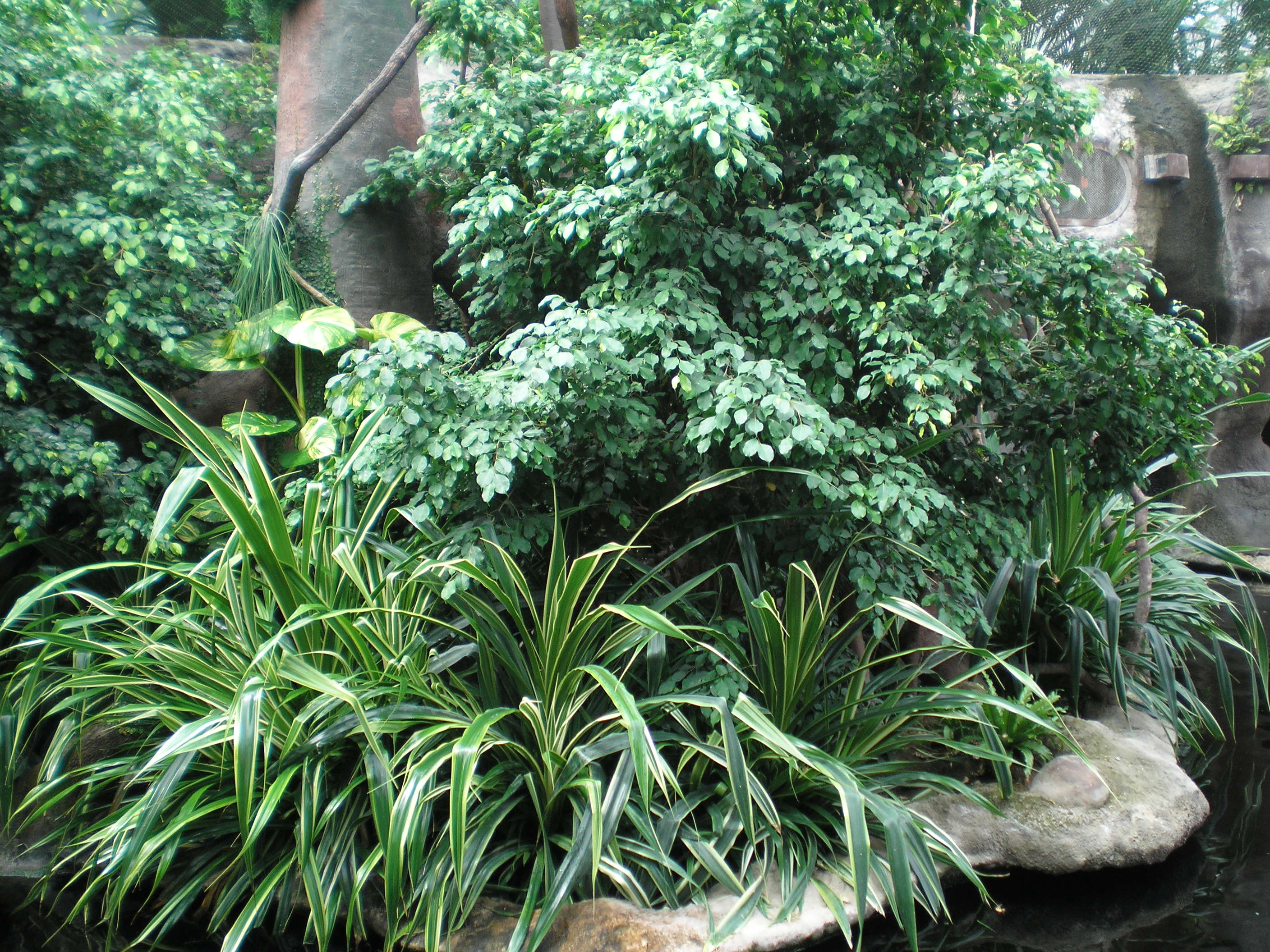P7090003.JPG