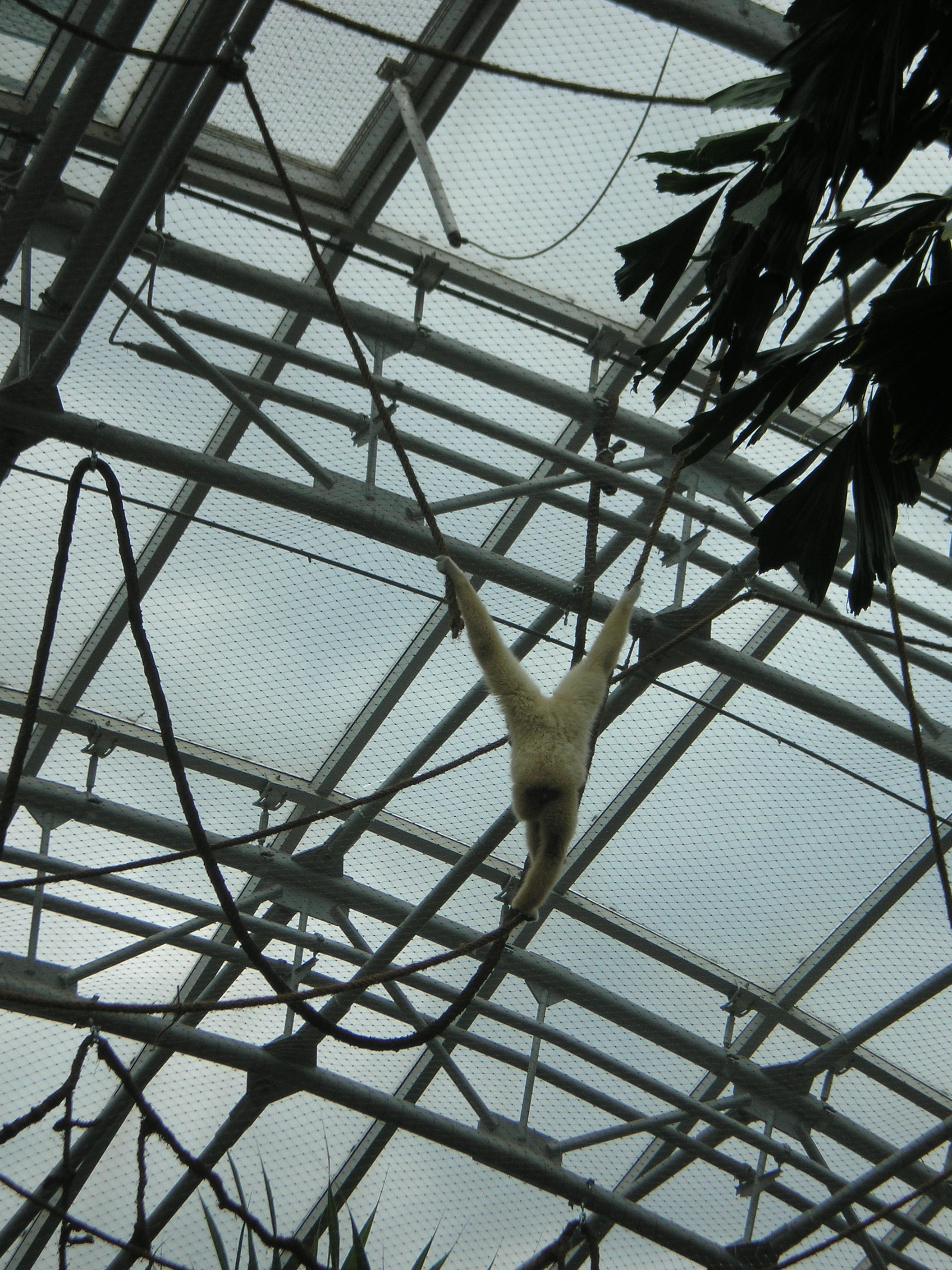P7090004.JPG
