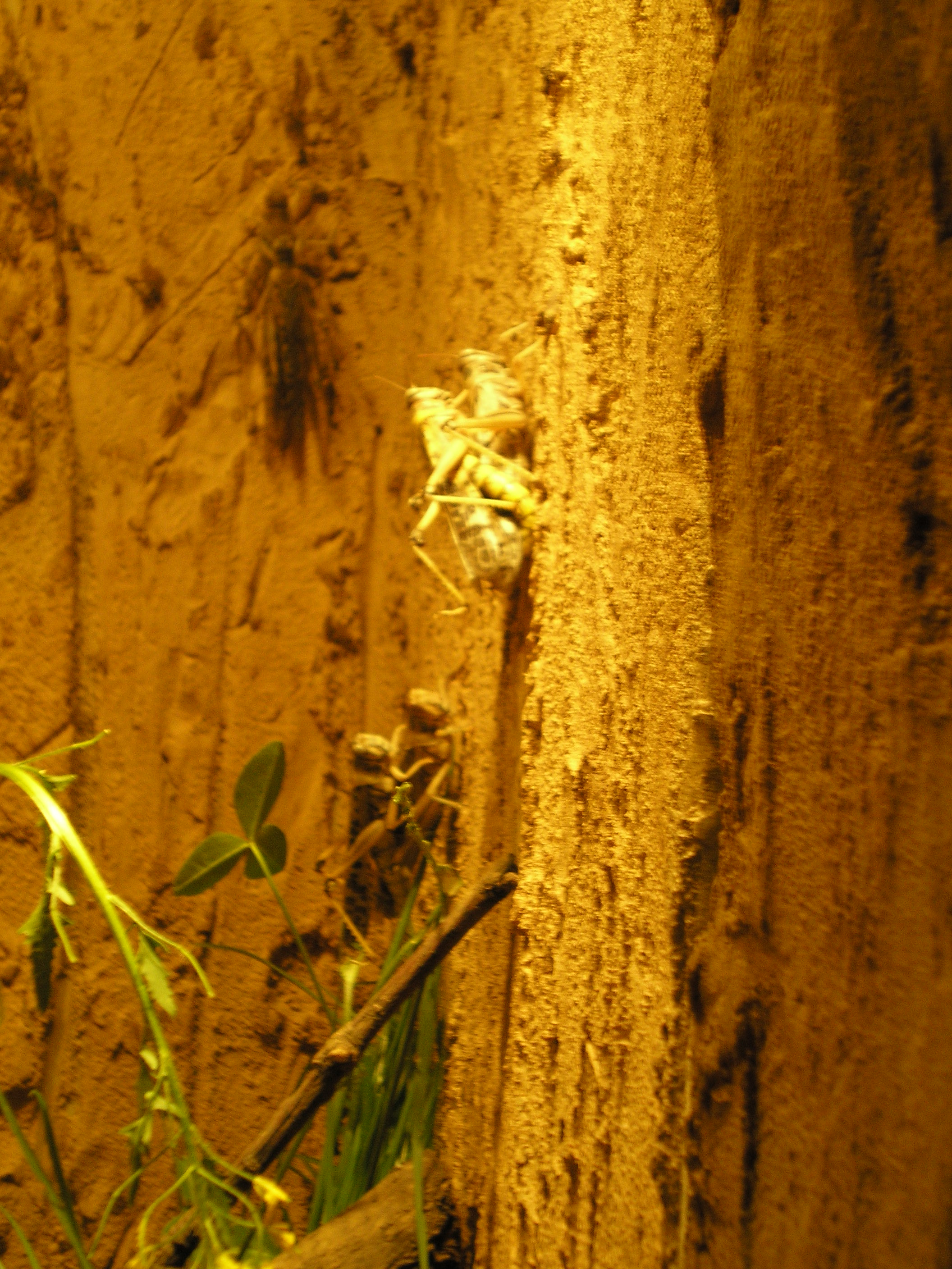 P7090016.JPG